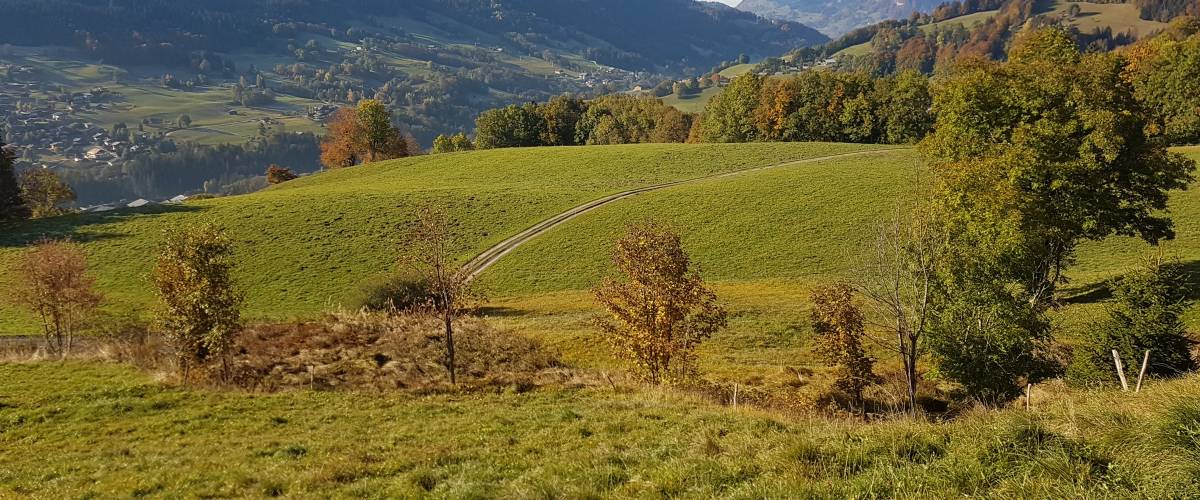 Zone humide des Granges