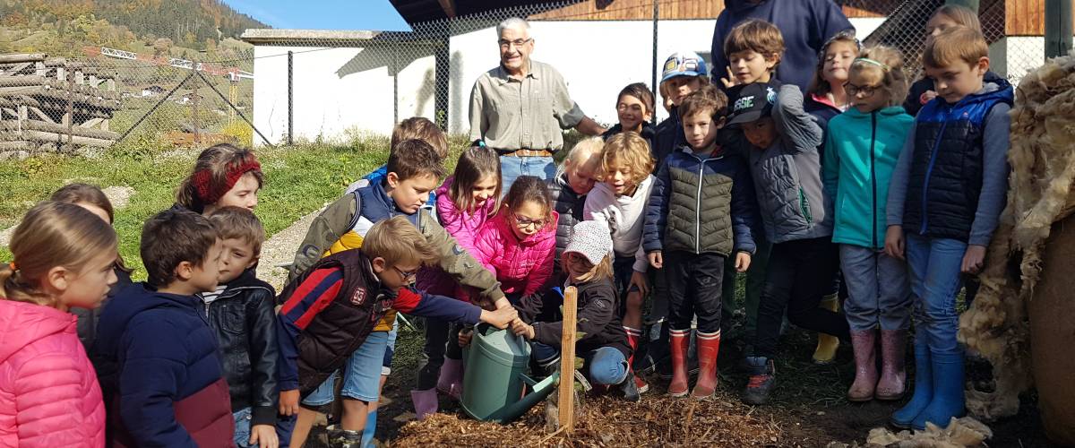 Plantation d'arbres fruitiers en contrebas du verger communal, avec les élèves de l'école des Éterlous - Marie-Anaïs Lien