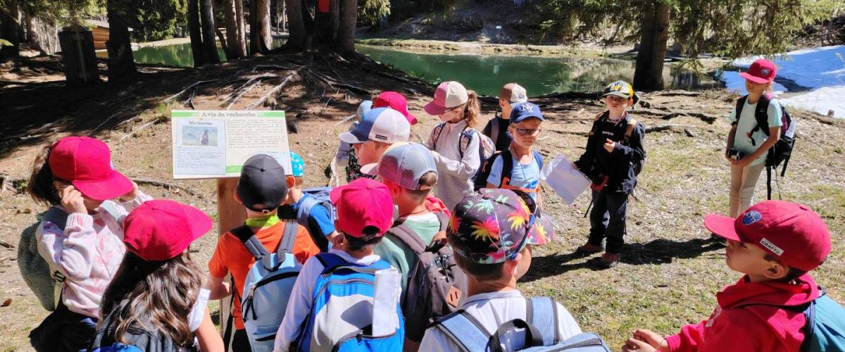 Le 23 avril, les élèves en CE1, CM1 et CM2 ont exploré la faune, la flore et les milieux montagnards aux côtés d’éducatrices du Centre de la nature montagnarde. - Françoise Perrin
