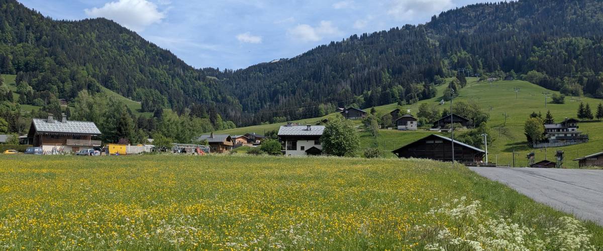 Exemple de parcelle agricole mise à disposition dans le cadre de l'appel à candidatures été 2026 - Marie-Anaïs Lien