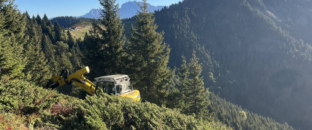 Opération de débroussaillage pour réhabiliter le tétras-lyre - Séverine Fontanges