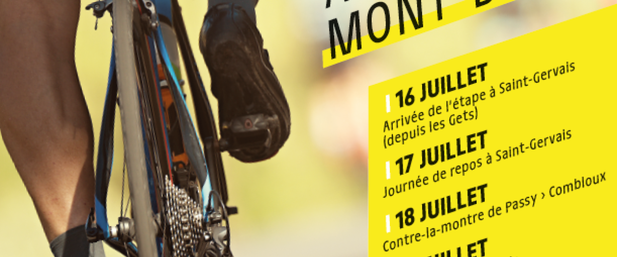 Tour de France 2023 - 31e édition
