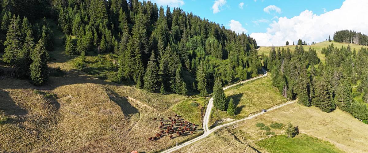 Plan de l'Are Praz sur Arly