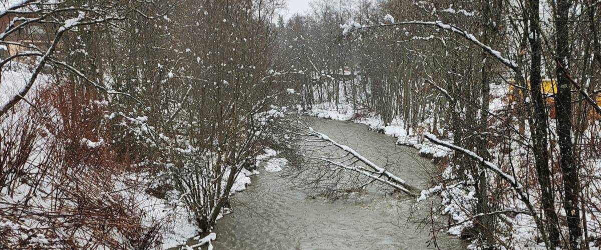 L'Arly, ce 30 novembre matin, est déjà haute.