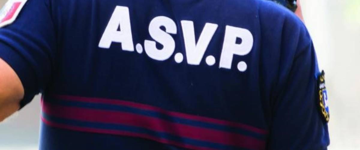Agent de surveillance de la voie publique (ASVP)