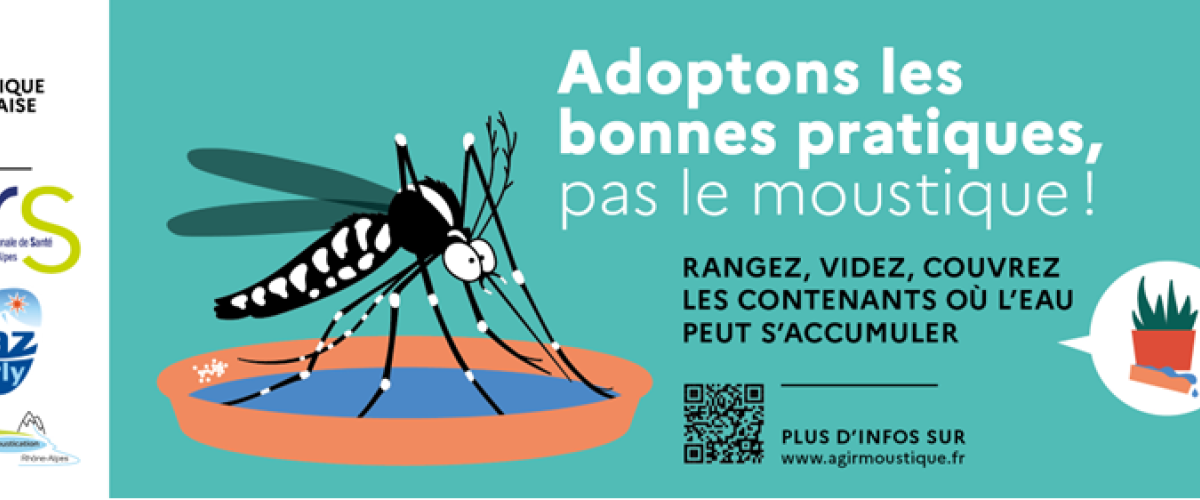 Moustique tigre - ARS AuRA