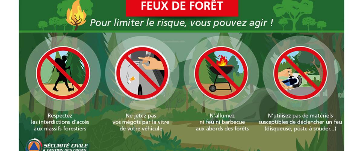 Feux de forêt - Gouvernement français