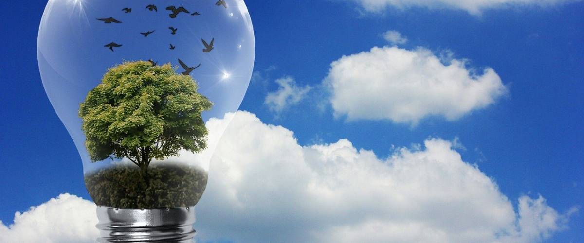 ZAER + énergie renouvelable + énergie propre + respect de l'environnement - Alexa/Pixabay