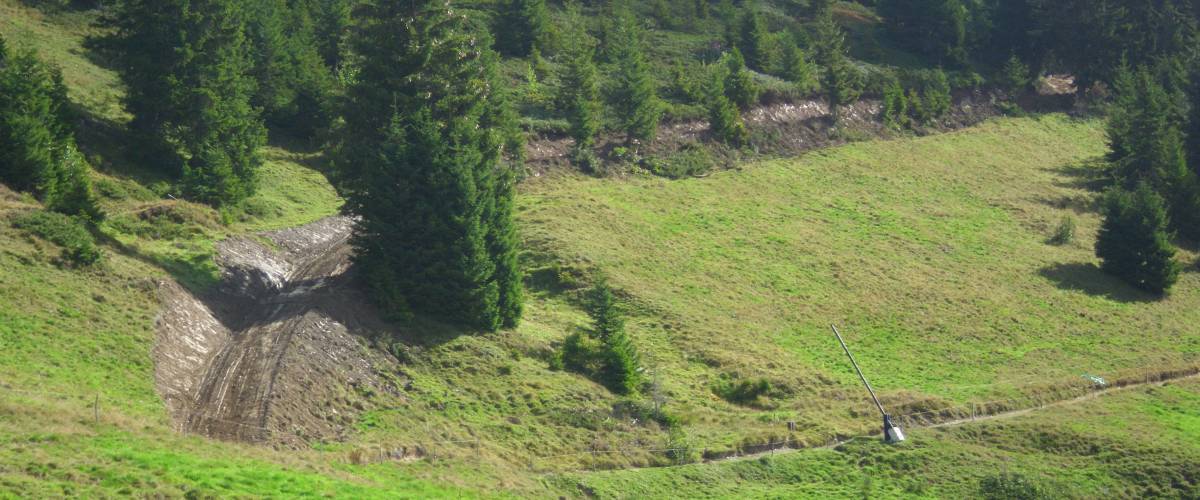 Forêt communale de Praz-sur-Arly - Olivier Perrin