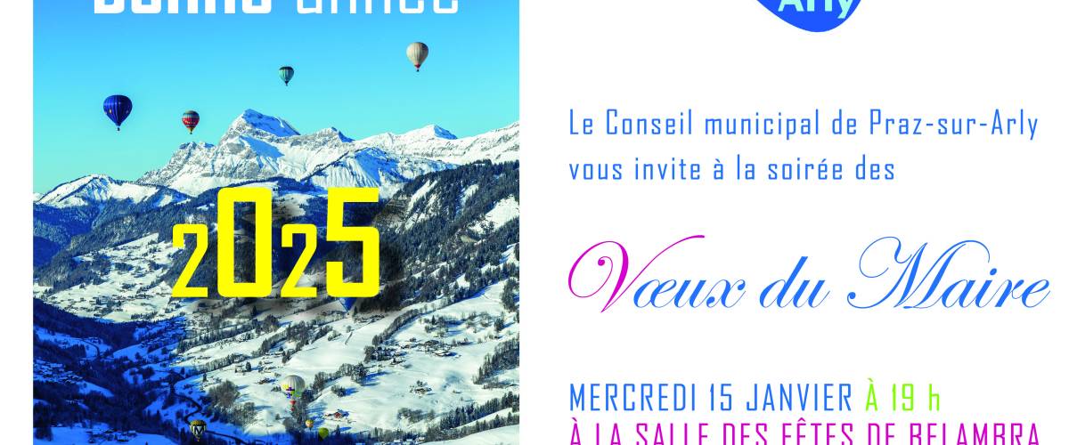 Cérémonie des vœux du Maire du 15 janvier 2025 - Marie-Anaïs Lien