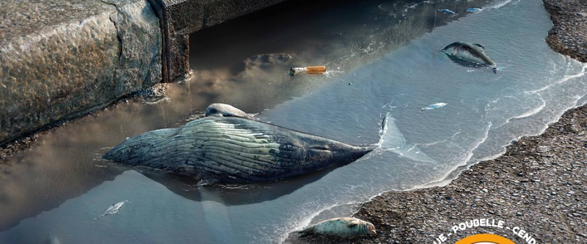 Un mégot pollue plus que vous ne le pensez