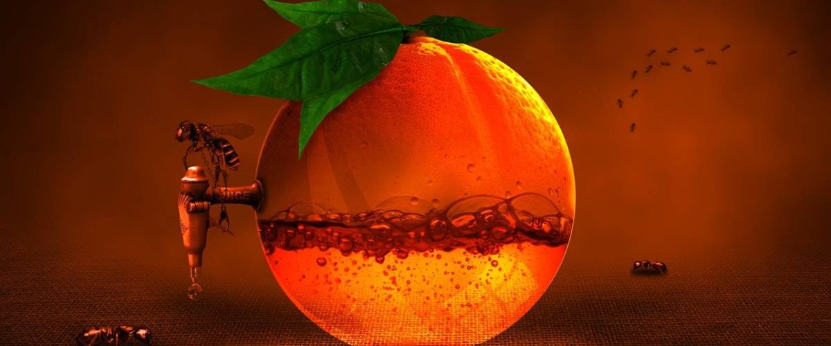 Agrume/orange/vitamine/abeille © Pixabay