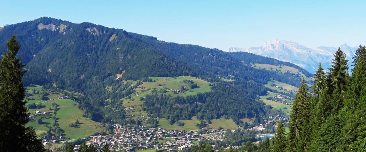 Praz sur Arly vue générale