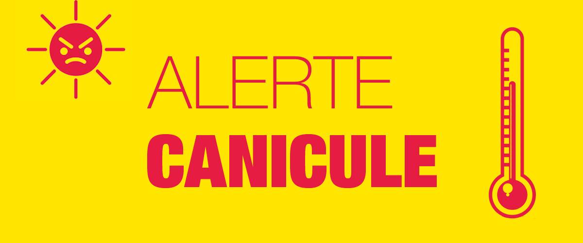 Canicule d'août 2023 : alerte vigilance orange
