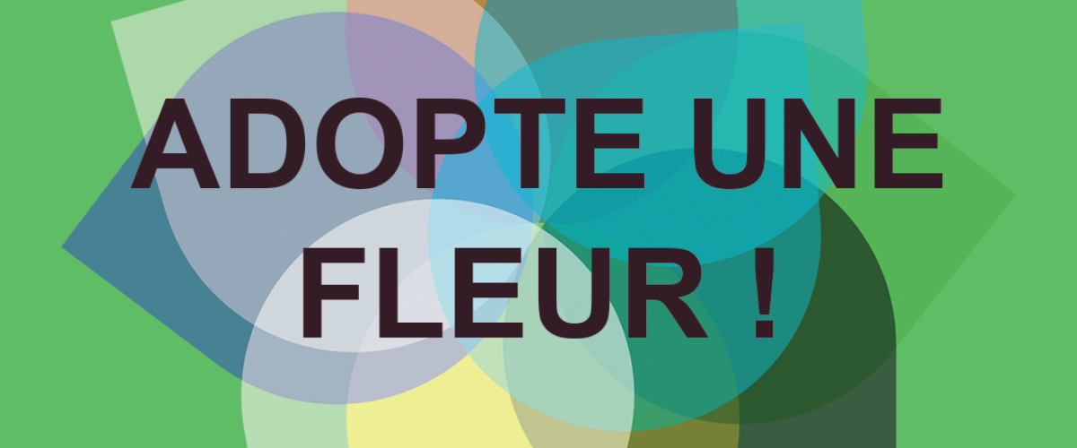 Adopte une fleur - Sagar Paul/Pixabay et Marie-Anaïs Lien