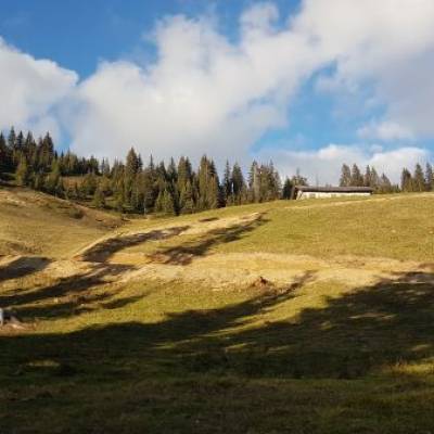 Sentier du Plan de l'Aar élargi © Marie-Anaïs Lien