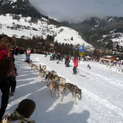 Grande Odyssée de janvier 2011 - David Morineau/Sylvie Bessy