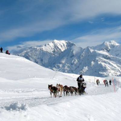 Édition 2011 de la Grande Odyssée, prise en photo le 15 janvier 2023