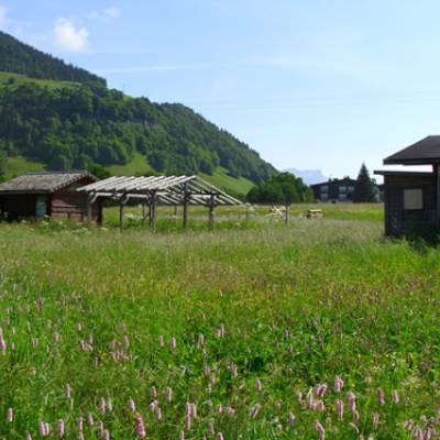 Allure du snack-bar en juin 2011