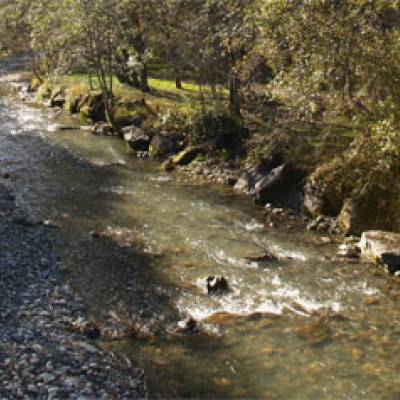 L'Arly le 23 juin 2011