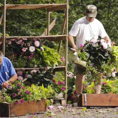 Fleurissement de Praz - Gaël Joncour/Detailphoto