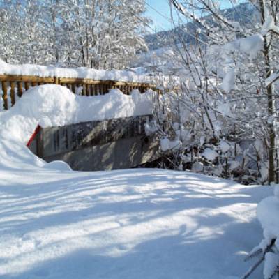 Pont de la Rosière le 12 décembre 2012 - David Morineau