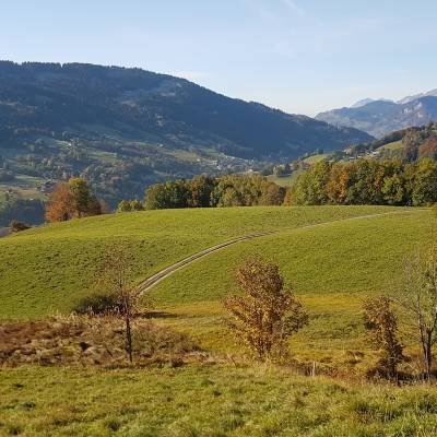 Zone humide des Granges