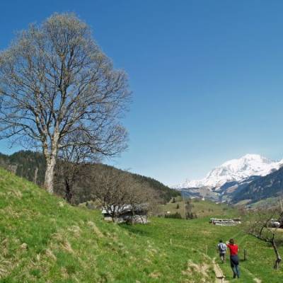 Sur les hauteurs de Praz sur Arly, près des Granges - Yann Jaccaz