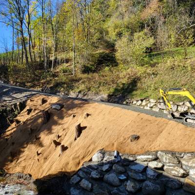 État des berges au niveau du pont de la Crusaz après les travaux de plantation © Pierre Bessy