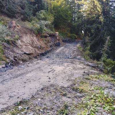Reprise d'une portion de la piste forestière menant à la parcelle n°8 - Bertrand Delamarche