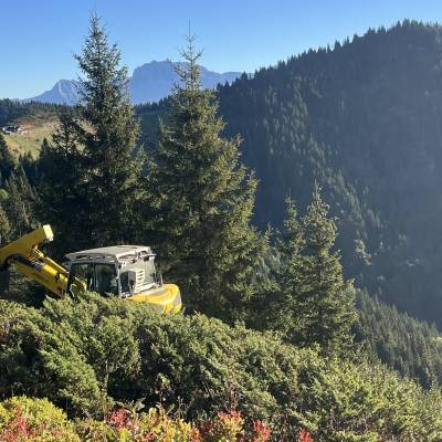 Opération de débroussaillage pour réhabiliter le tétras-lyre - Séverine Fontanges