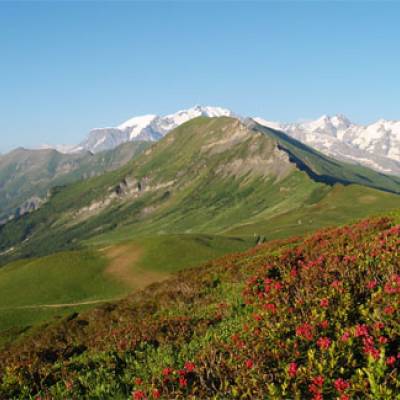 Alpages de Véry à Praz-sur-Arly - Mairie de Praz-sur-Arly