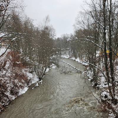 L'Arly, ce 30 novembre matin, est déjà haute.