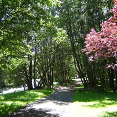 Berges de l'Aly à Praz-sur-Arly - Sylvie Bessy