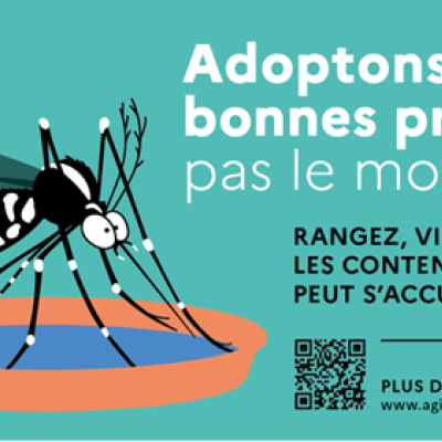 Moustique tigre - ARS AuRA