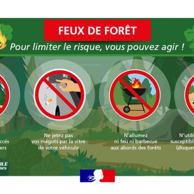 Feux de forêt - Gouvernement français