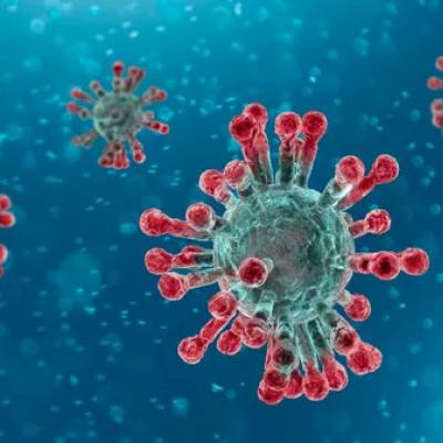 Coronavirus Covid-19 - EFSA