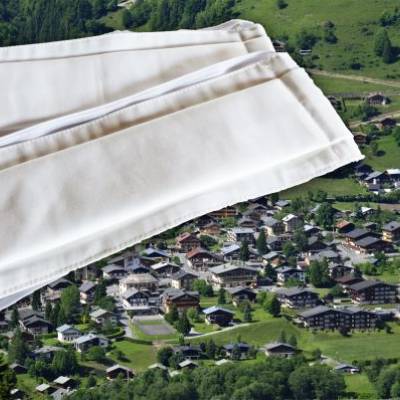 Covid-19 : distribution de masques à Praz-sur-Arly