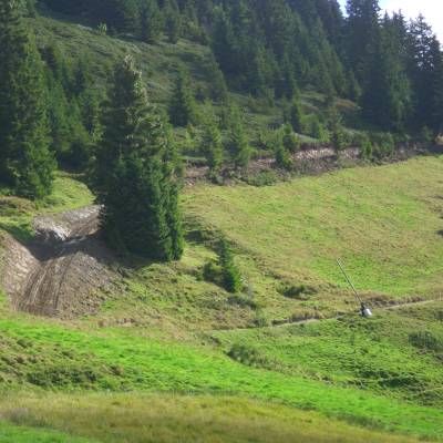 Forêt communale de Praz-sur-Arly - Olivier Perrin