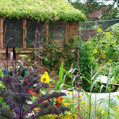 Un exemple de jardin partagé