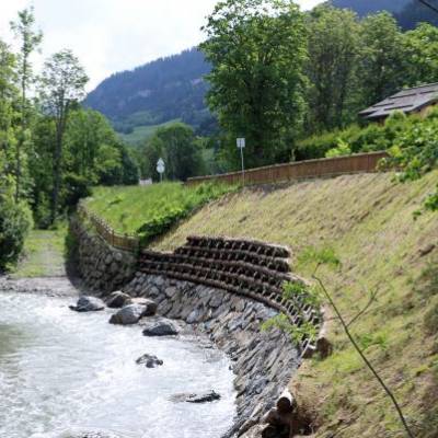 Restauration des berges de l'Arly