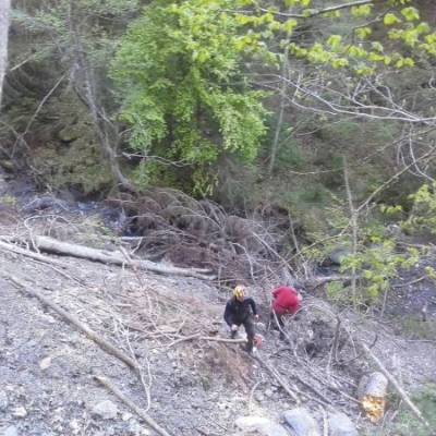 Embâcle : obstruction du lit de l'Arly par un amas de végétaux...
