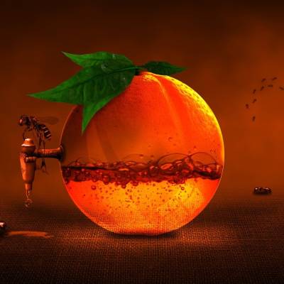 Agrume/orange/vitamine/abeille © Pixabay