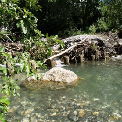 Seuil supprimé pour laisser passer les poissons