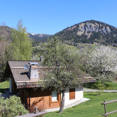 Un chalet à Praz-sur-Arly et le Mont Lachat au fond
