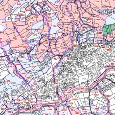 Plan de prévention des risques naturels de Praz sur Arly de 2012