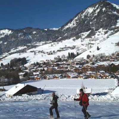 Sentier raquette à Praz-sur-Arly