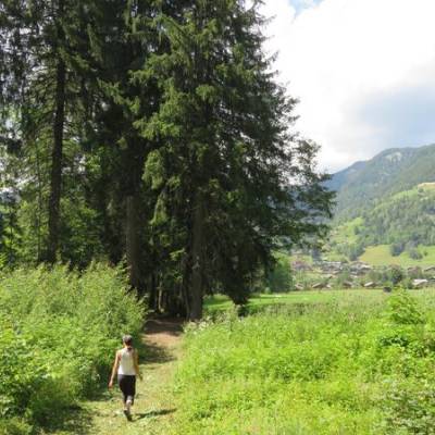 Nouveau sentier entre Varins et Thouvassières