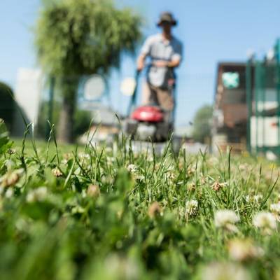 Tonte effectuée par les Services Techniques