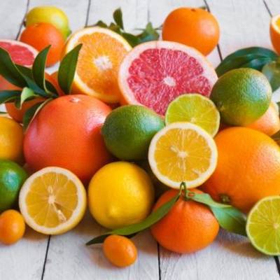 Vente de fruits et produits italiens par l'APE, agrumes